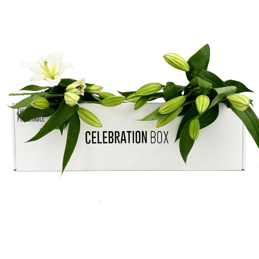 Seasonal Flowers | Flower Gifts Perfect for a Loved One | Celebration Box NZ