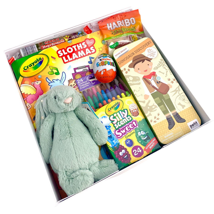 Kids Fun Box-Gift Boxes and sweet treats New Zealand wide-Celebration Box NZ