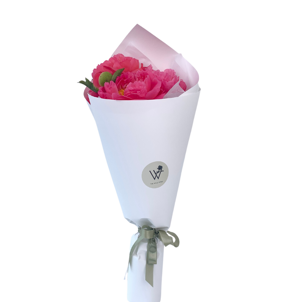 Peony Flower Bouquet with Celebration Box and The Wild Rose. Delivery NZ Wide and Auckland Same Day, 7 Days a Week