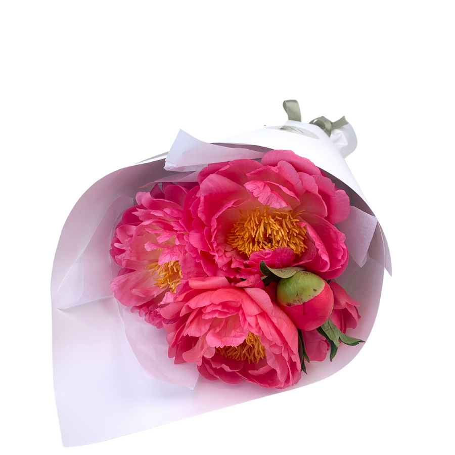 Peony Flower Bouquet with Celebration Box and The Wild Rose. Delivery NZ Wide and Auckland Same Day, 7 Days a Week