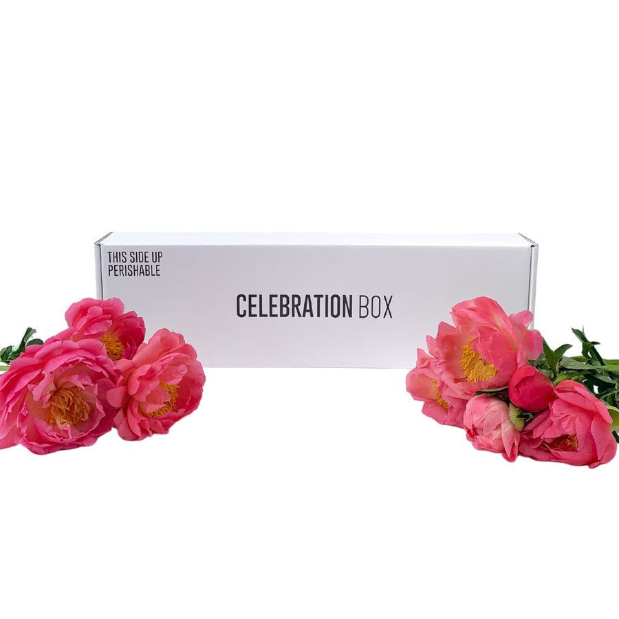 Peony Flower Gift Box with Celebration Box and Hello & Cookie. Delivery NZ Wide and Auckland Same Day, 7 Days a Week.