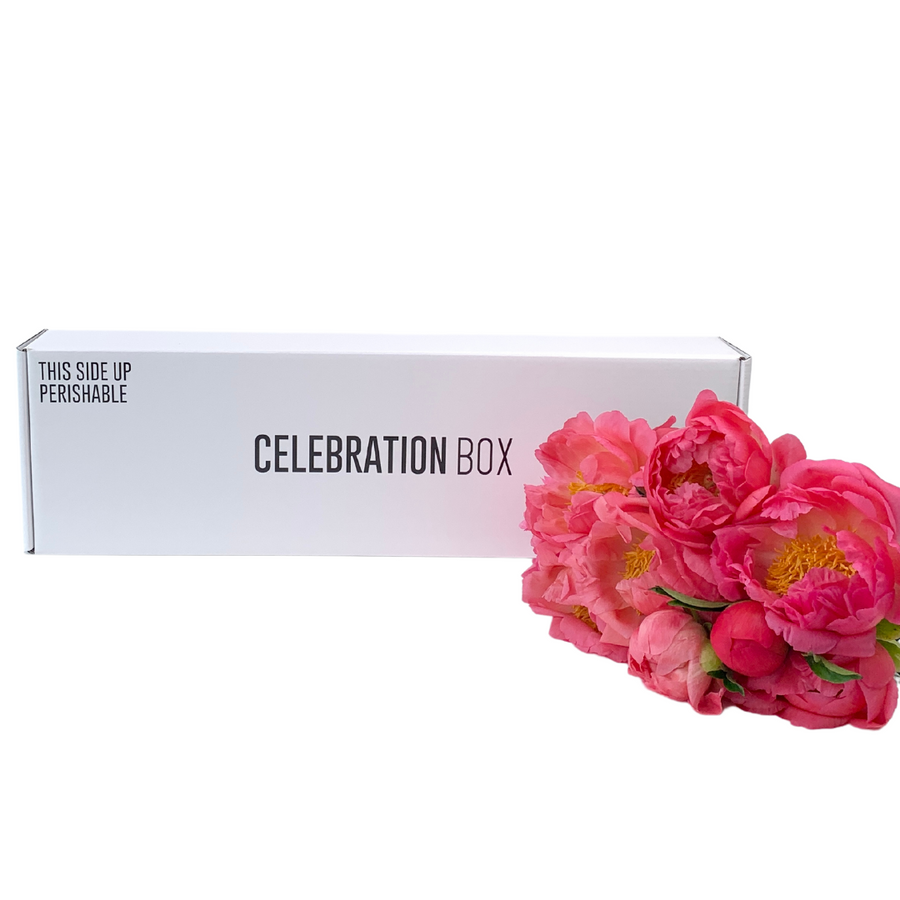 Peony Flower Gift Box with Celebration Box and Hello & Cookie. Delivery NZ Wide and Auckland Same Day, 7 Days a Week