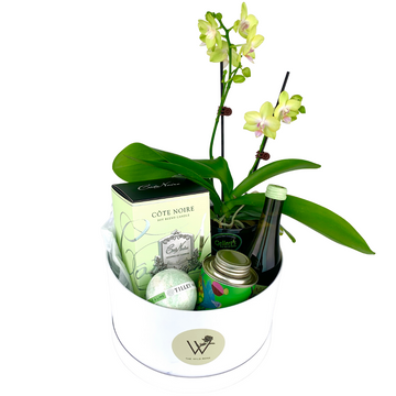Flower Gift Boxes with The Wild Rose and Celebration Box. Delivery Auckland Wide Only, 7 Days a Week.
