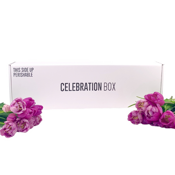 Beautiful Flowers with Celebration Box and The Wild Rose NZ. Delivery NZ Wide and Auckland Same Day. Tulips NZ.